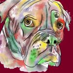 Bruce72square ruby